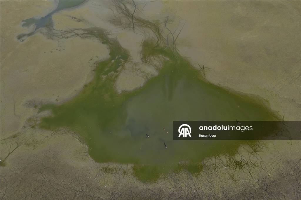 Kuraklığın etkisi artıyor! En büyük tatlı su gölü için alarm verildi: Su seviyesi düştü, balıklar telef oldu 13